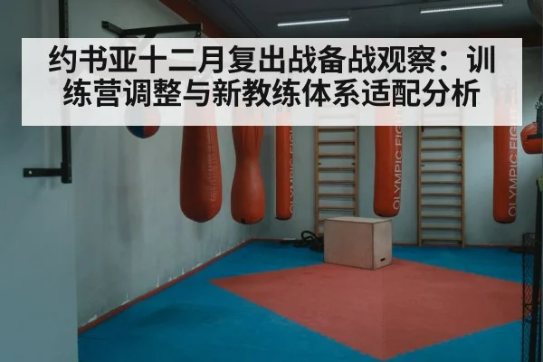 约书亚十二月复出战备战观察：训练营调整与新教练体系适配分析